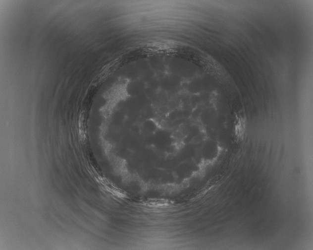 X0000080670819200701051006