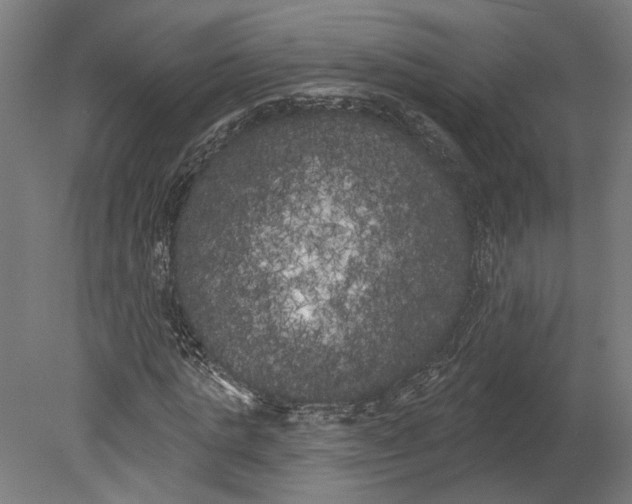 X0000080670821200701051006