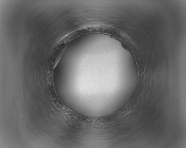 X0000080670822200701051006