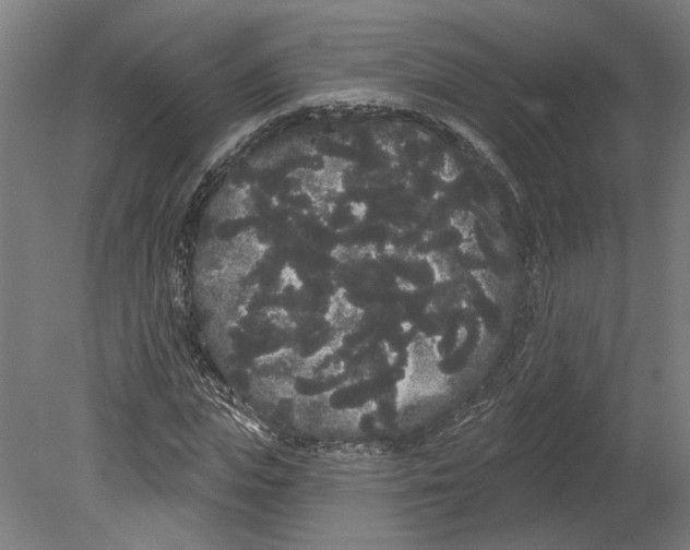 X0000080670823200701051006