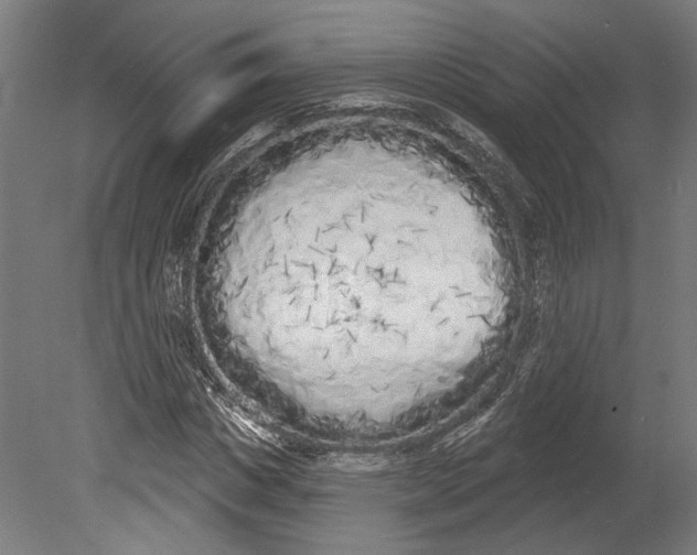 X0000080670825200701051006