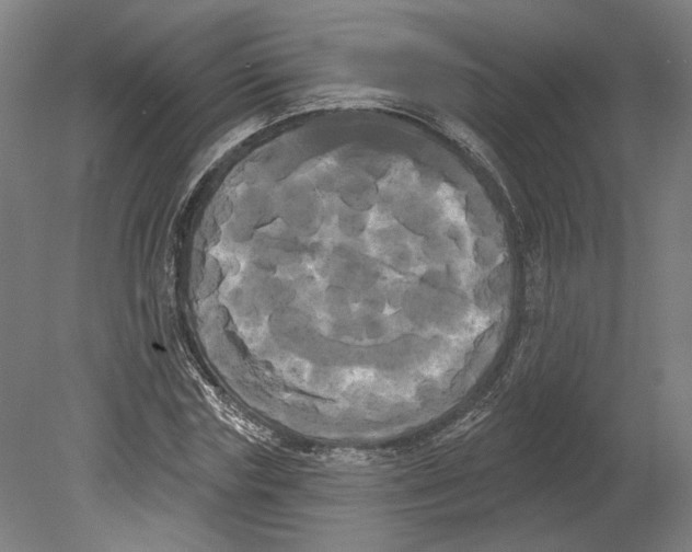 X0000080670827200701051006