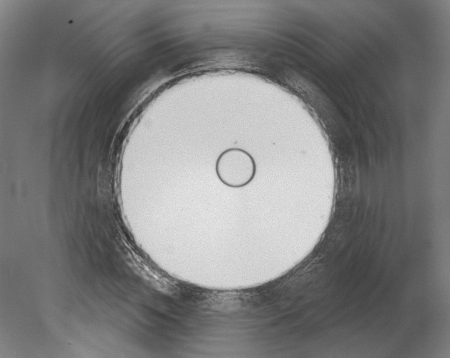 X0000080670828200701051006