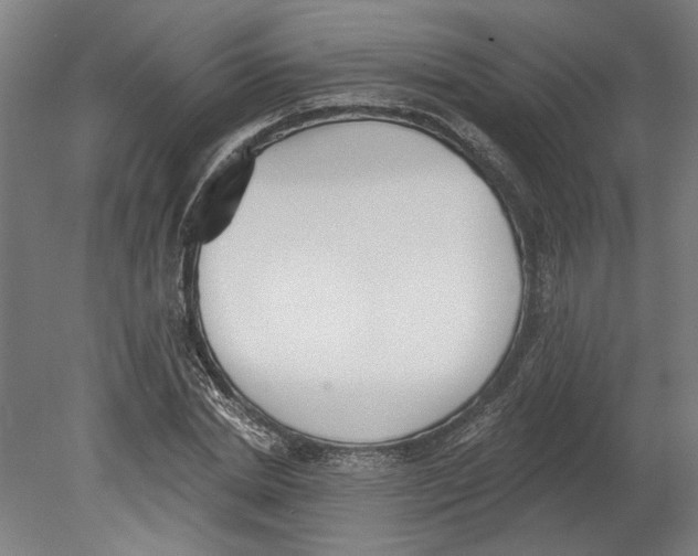 X0000080670830200701051006