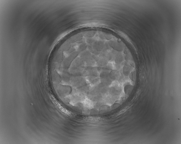 X0000080670831200701051006