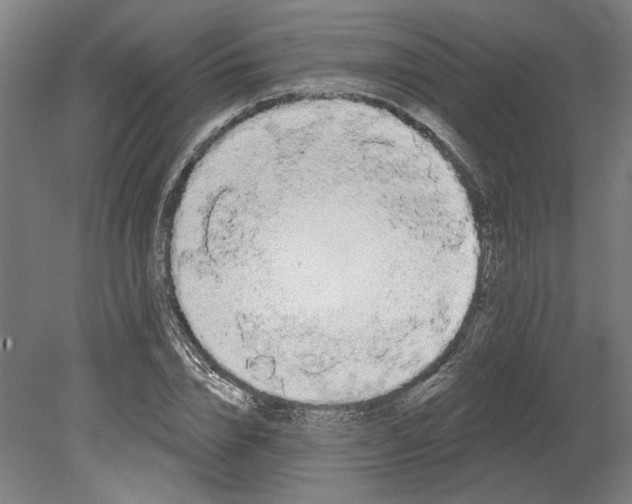 X0000080670832200701051006