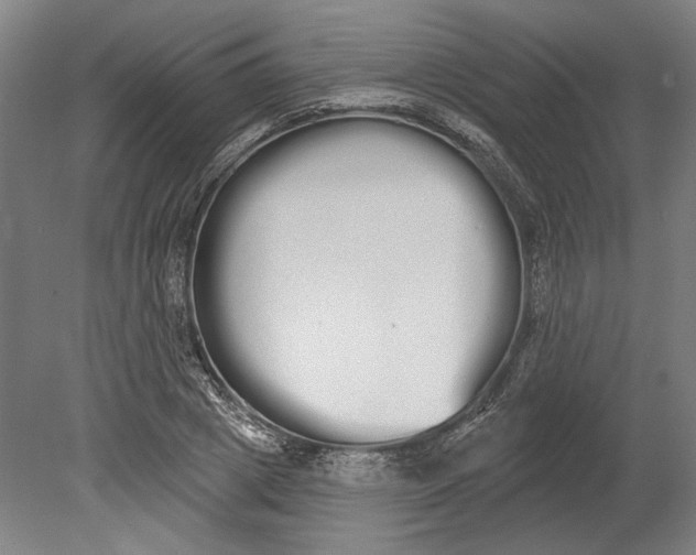 X0000080670833200701051006