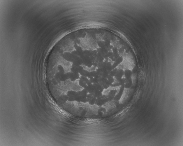 X0000080670835200701051006