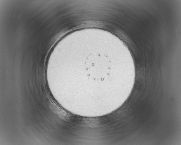 X0000080670836200701051006