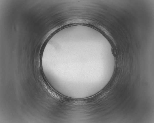 X0000080670837200701051006