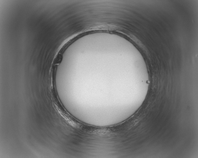 X0000080670838200701051006