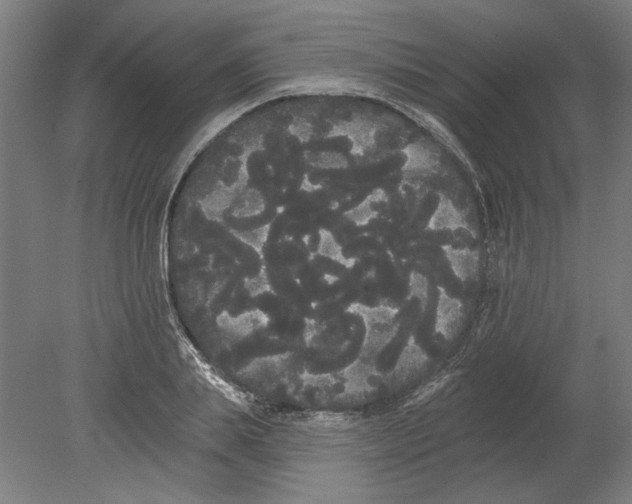 X0000080670839200701051006