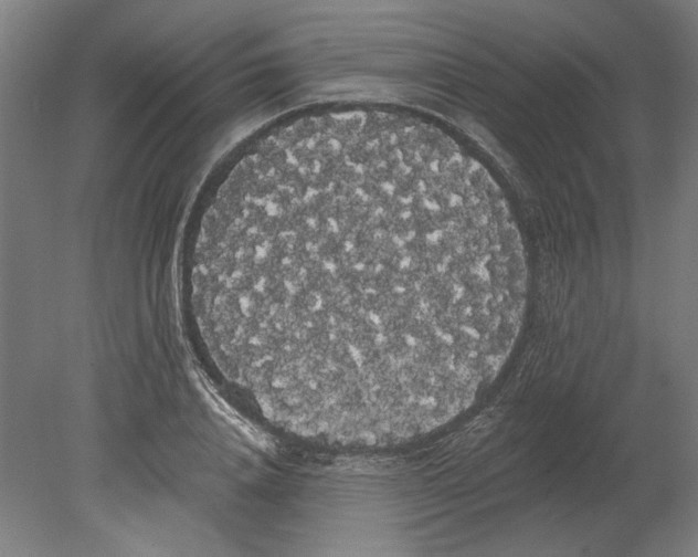 X0000080670840200701051006