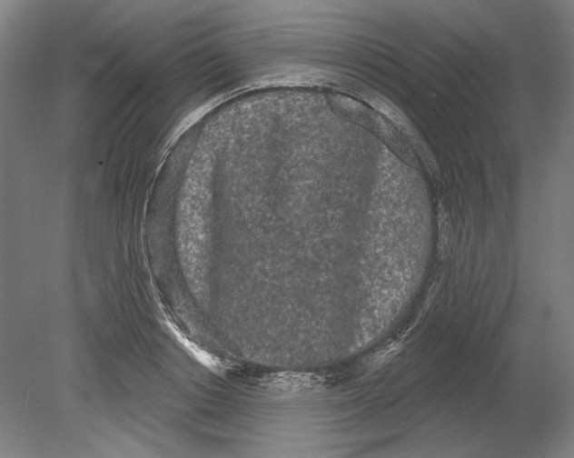 X0000080670842200701051006