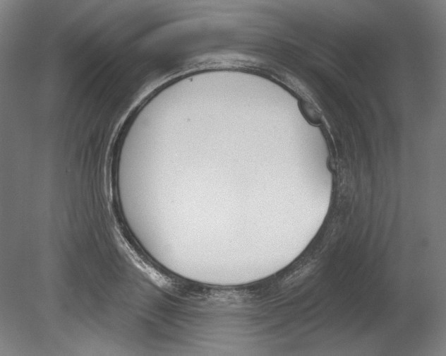 X0000080670843200701051006