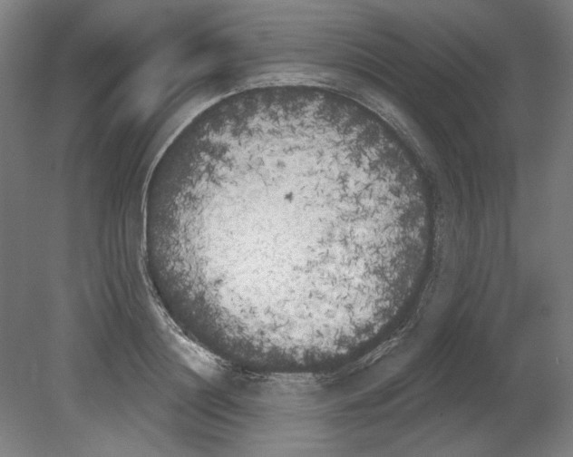 X0000080670844200701051006