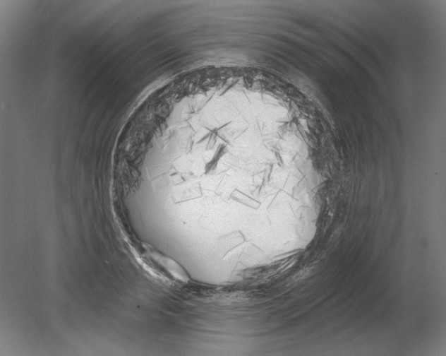 X0000080670845200701051006