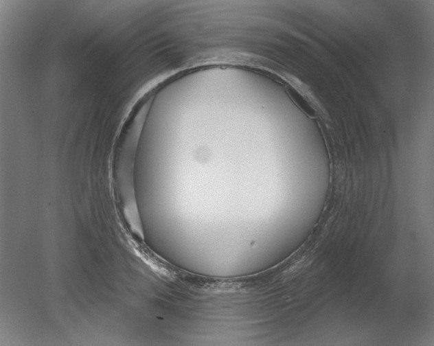 X0000080670846200701051006