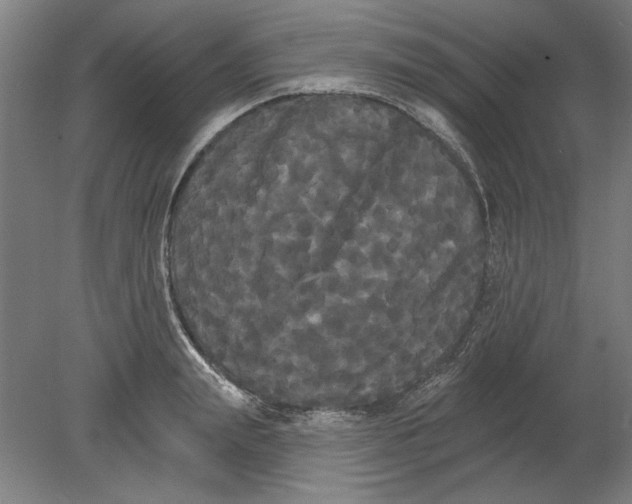 X0000080670847200701051006