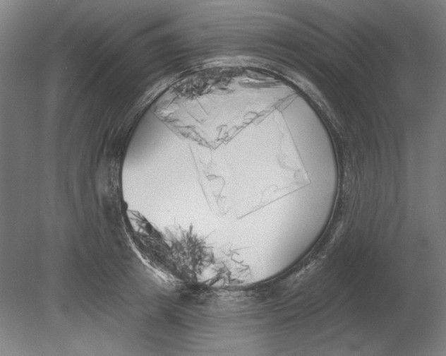 X0000080670849200701051006