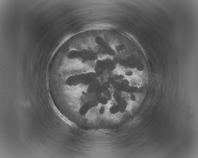 X0000080670851200701051006