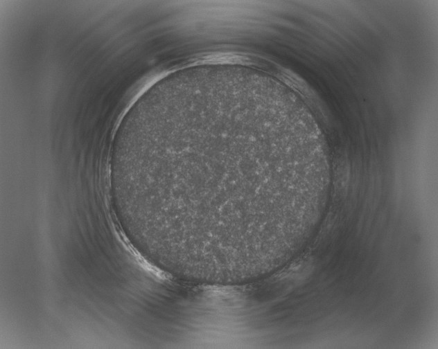 X0000080670852200701051006