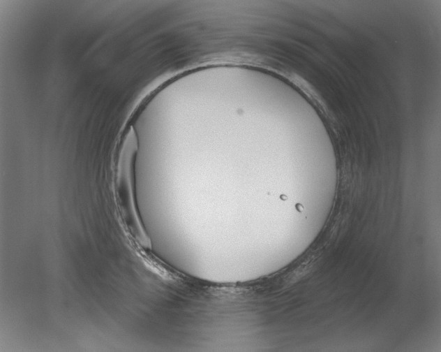 X0000080670854200701051006