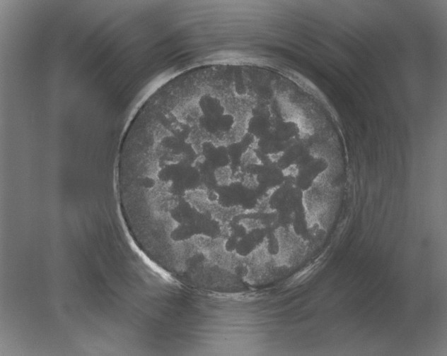 X0000080670855200701051006