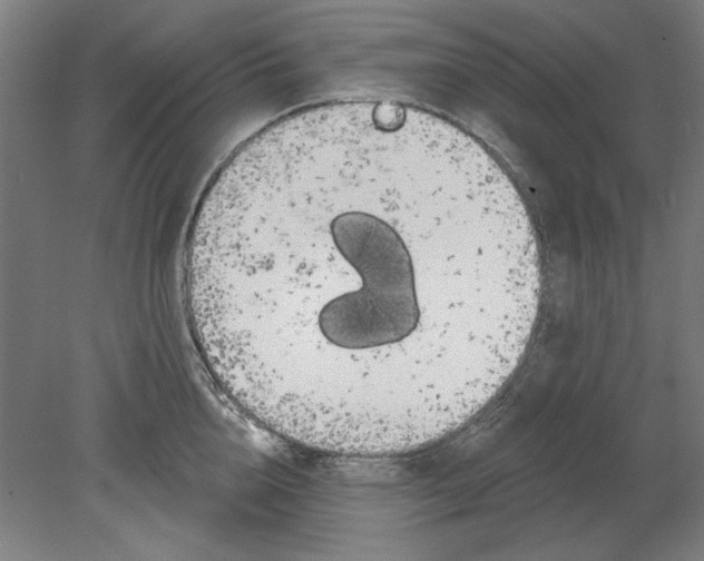 X0000080670856200701051006