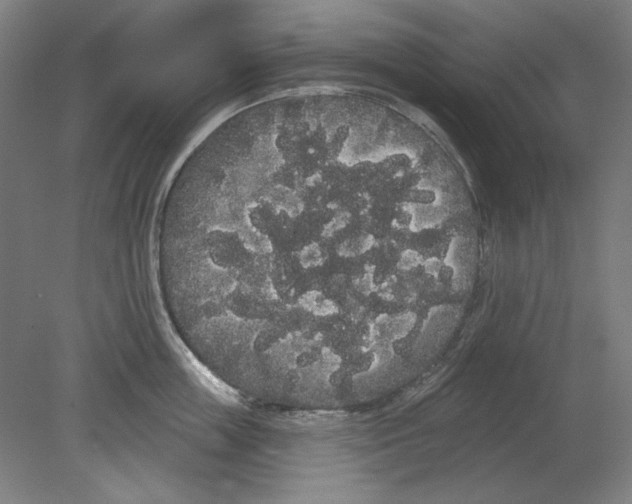 X0000080670859200701051006