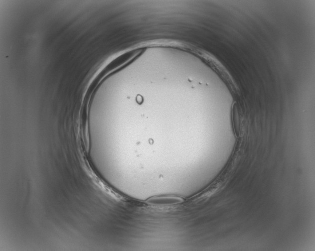 X0000080670860200701051006