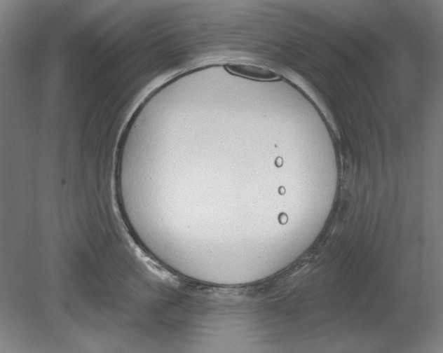 X0000080670861200701051006