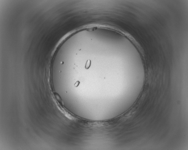 X0000080670862200701051007