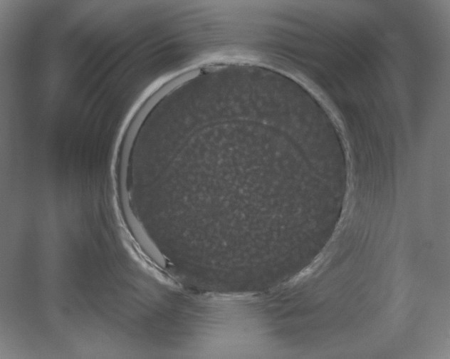 X0000080670864200701051007