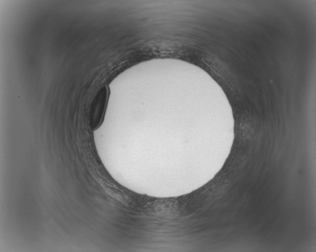 X0000080670865200701051006