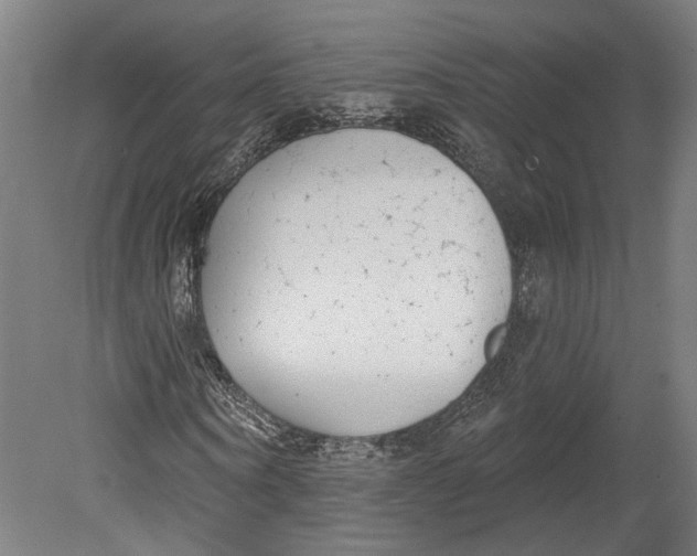 X0000080670866200701051006