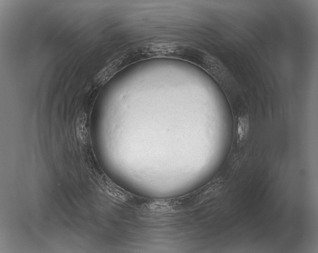 X0000080670867200701051006