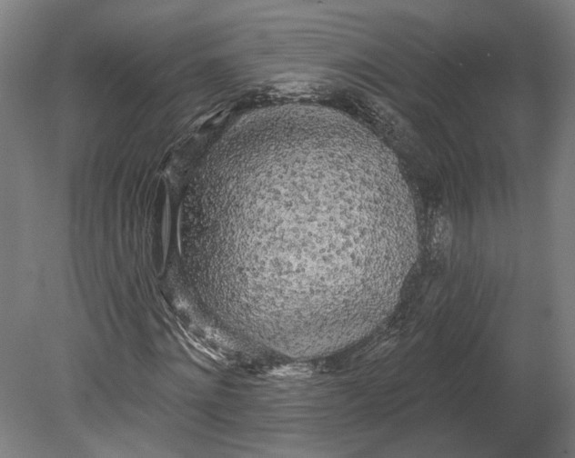 X0000080670868200701051006