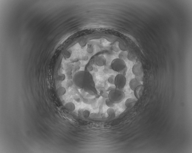 X0000080670871200701051006