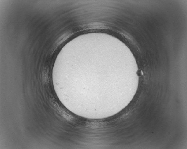 X0000080670873200701051006