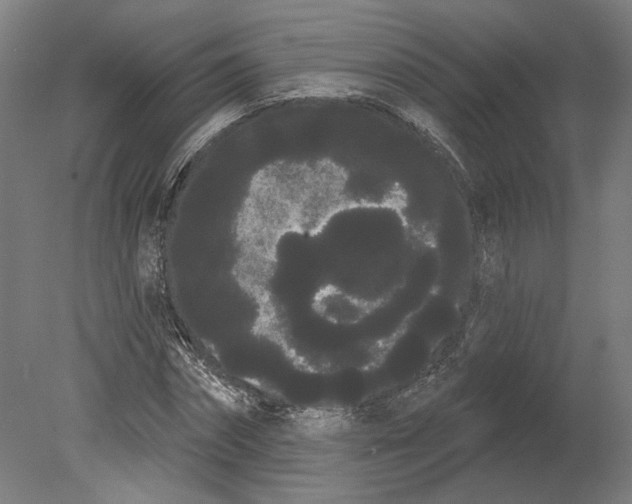 X0000080670874200701051006