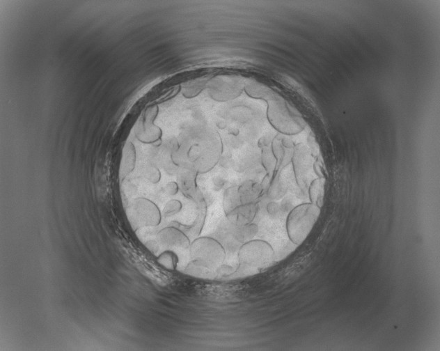 X0000080670875200701051006