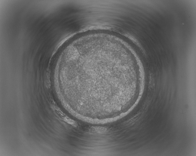 X0000080670878200701051006