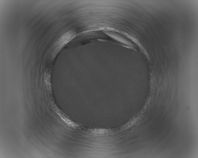 X0000080670881200701051005