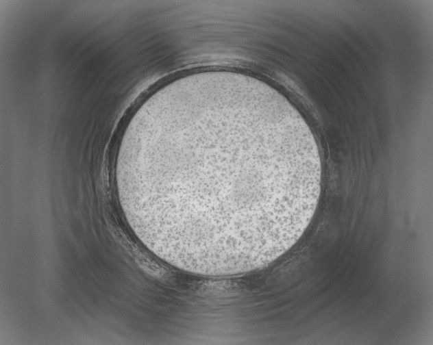 X0000080670883200701051005