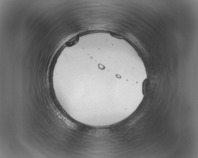 X0000080670884200701051005