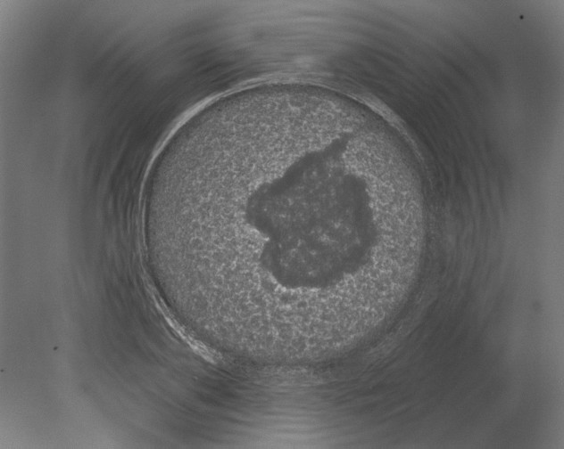 X0000080670886200701051005