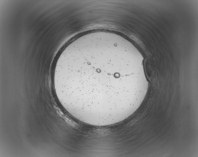 X0000080670888200701051005