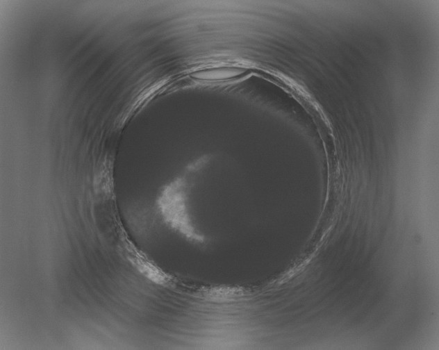 X0000080670889200701051005