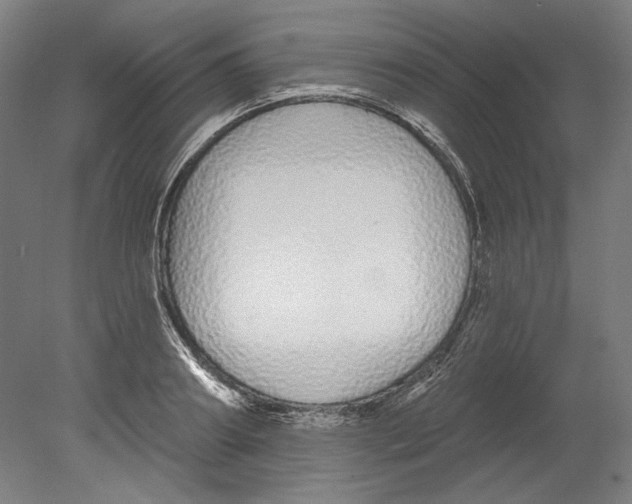 X0000080670890200701051005